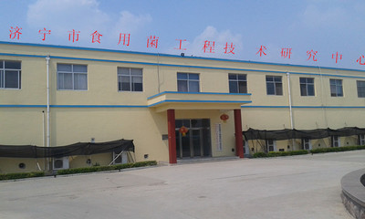 软件科技领域内的技术开发 创新驱动，赋能未来