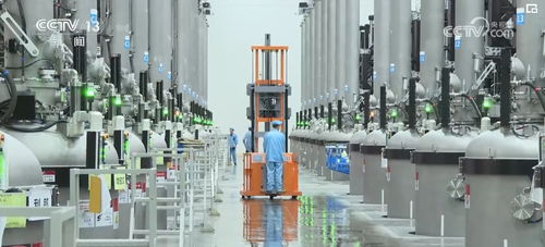 软件科技驱动绿色低碳新兴产业 高起点发展与巨大市场潜力