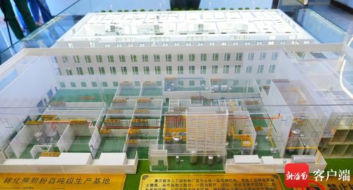 美安科技新城 打造创新药企新高地，引领珍稀中药材替代与软件科技融合发展